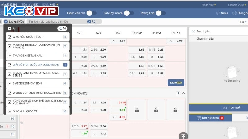 Người dùng phân loại giải đấu dễ dàng